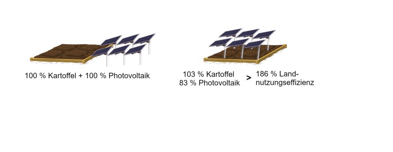 Landnutzungeffizienz(1)