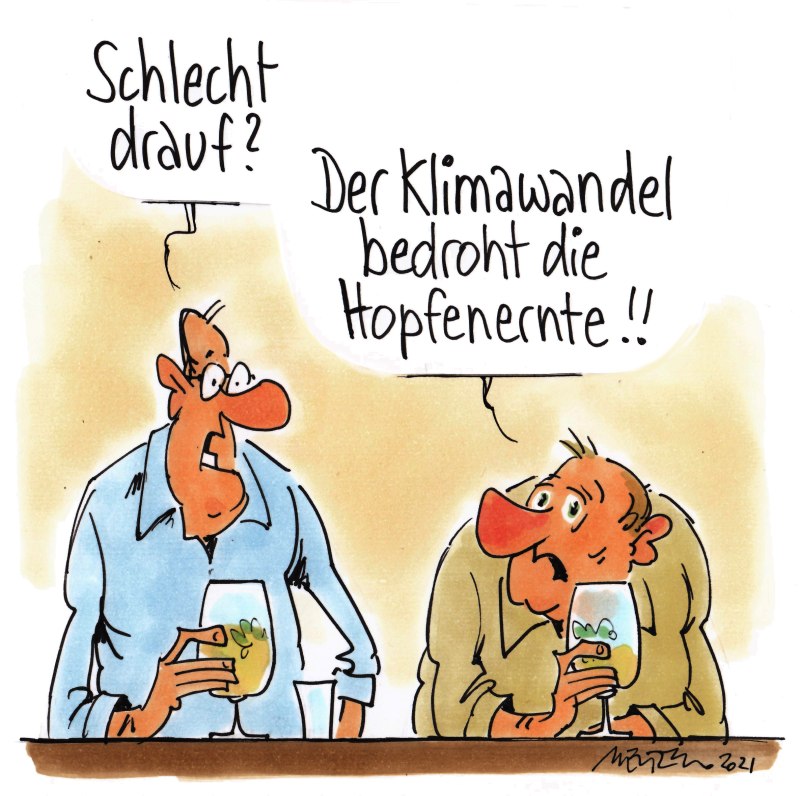 Hopfenernte