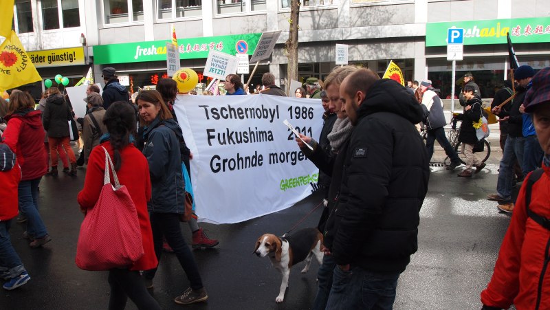 Demo Atomkraft Tschernobyl Fukushima Grohnde 