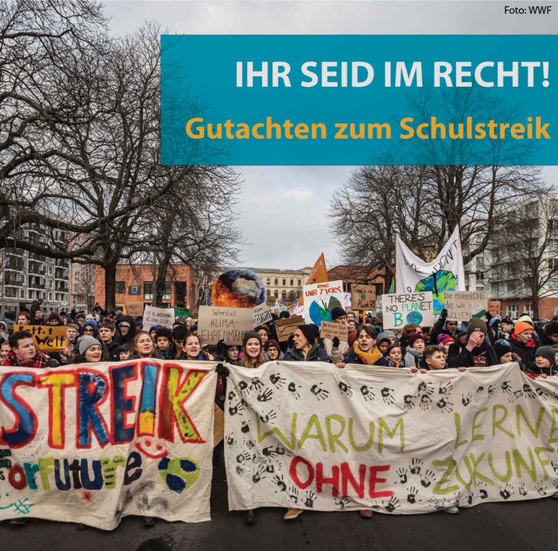 Gutachten zum Schulstreik FFF