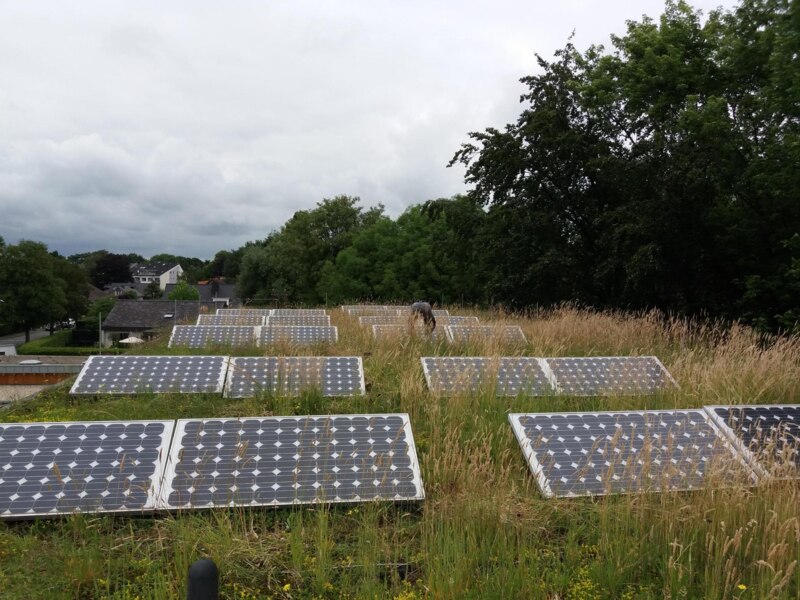 PV auf Gründach Altanlage