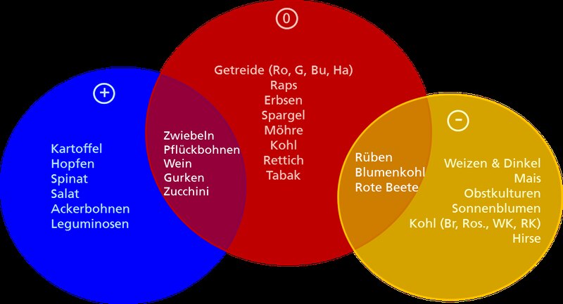 Ackerkulturen.width-800(1)