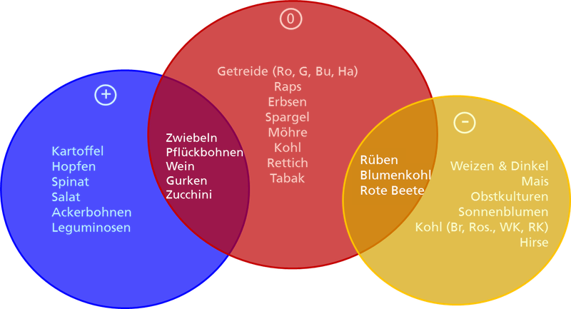 Ackerkulturen.width-800(1)