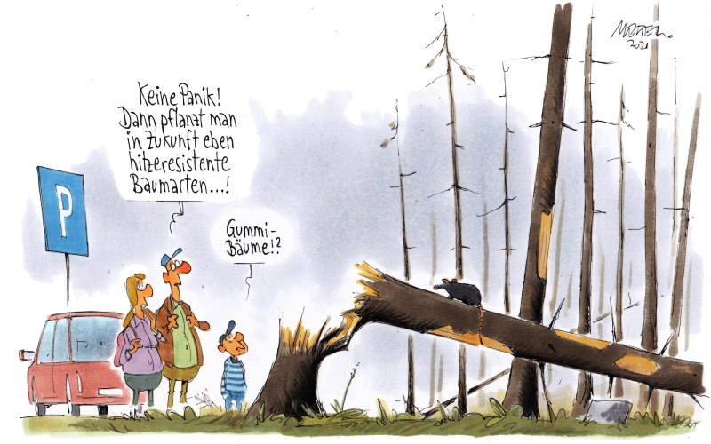 Waldsterben