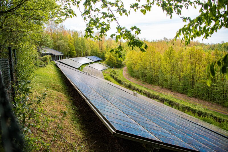 solar-panels-7036413Siegfriedpoepperl