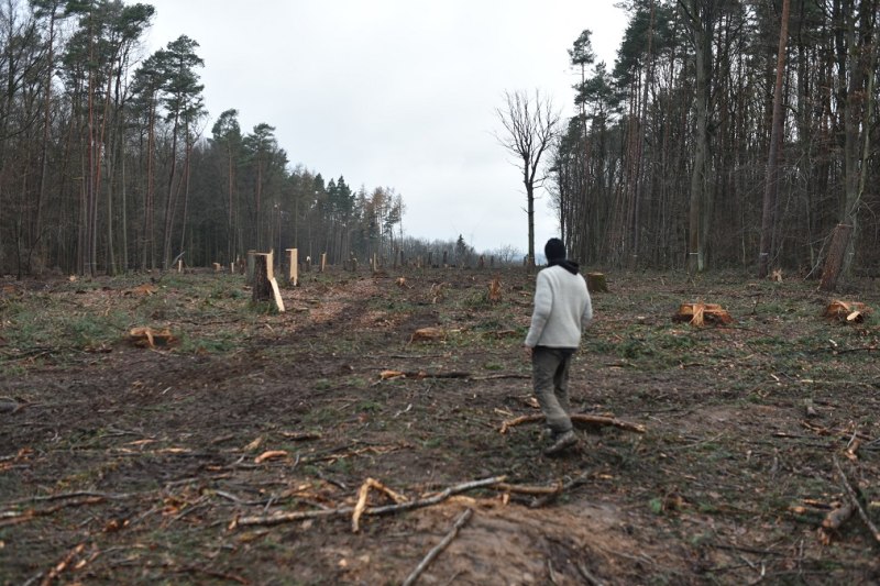 Jannik an der Schneise durch den Dannenröder Wald